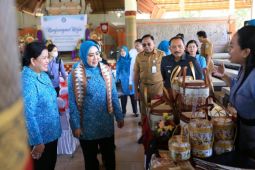 Ketua Umum PKK Pusat minta kader sukseskan penanganan stunting