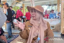 Kuliner otak-otak Pangkalpinang terenak di dunia