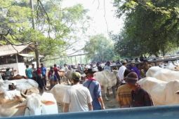 Pemkab Purwakarta sebar 83 petugas pemeriksa hewan kurban jelang Hari Raya Idul Adha