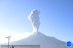 Gunung Lewotobi Laki-laki di NTT semburkan abu vulkanik 800 meter