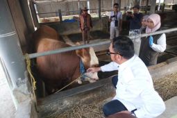 Bupati Garut pastikan hewan kurban yang dijual sehat