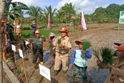 Pemkot Samarinda dan kodim kolaborasi  wujudkan lumbung pangan