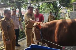 Pemkab Tangerang pastikan hewan kurban bebas dari penyakit menular