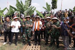 Mentan panen bawang merah di lahan tidur Bekasi perkuat ketahanan pangan
