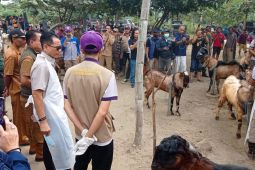 Pj Bupati Tulungagung pantau ketersediaan hewan kurban di pasaran