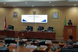 Fraksi DPRD Banjarbaru beri masukan penyusunan RPJPD 2025-2045