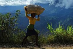 KPAI sebut 1,14 juta anak masih dalam situasi pekerja anak