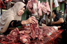 Pentingkah Ketahanan Pangan Berkelanjutan?