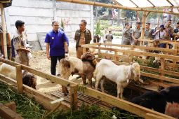 Idul Adha 1445 H, Pemkot Batu pastikan hewan kurban aman dikonsumsi