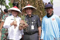 Panen raya bawang merah bantu tekan inflasi di Bekasi