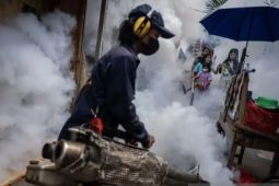 Bantu selamatkan nyawa, ayo pahami fase perjalanan klinis DBD