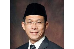 Pemerintah setujui usulan Gus Irawan naikkan dana peremajaan sawit