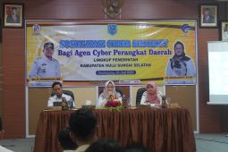 Diskominfo HSS perkuat keamanan siber bagi perangkat daerah