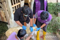 DPKHP Cianjur periksa 8.473 hewan di 85 peternakan