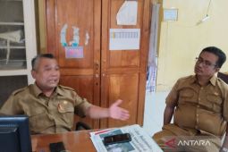 Dinkes sebut kasus rabies di Mukomuko bertambah jadi 54