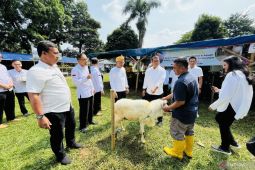 Pj Wali Kota Bogor pastikan persiapan Idul Adha 1445 H berjalan lancar