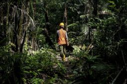 Indonesia Sentris : Perhutanan sosial yang berkelanjutan