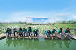 Jaga keseimbangan ekosistem, Suvarna Sutera tanam ribuan bibit pohon mangrove