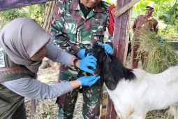 Pemkab Pasuruan gencarkan pemeriksaan hewan kurban jelang Idul Adha 1445 H