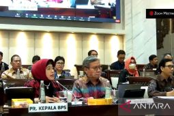 BPS butuh Rp6 triliun untuk gelar Sensus Ekonomi 2026