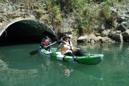 Pokdarwis kelola wisata mangrove gaet wisatawan