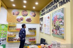 Disbun Kaltim pamerkan sawit dan kakao  di Agro and Food Expo 2024