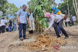 25 jenis buah hutan endemik ditanam di Kebun Raya Bunda Hayati Bulungan