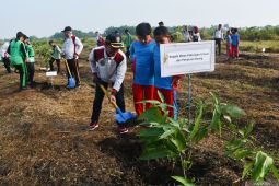 Penanaman pohon mangga di Madiun