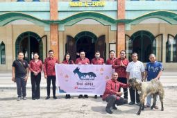 Maknai Idul Adha, Swiss-Belhotel Palangka Raya serahkan hewan kurban ke sejumlah masjid