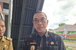 Dishut Lampung pastikan satwa yang muncul di Pesawaran adalah kucing emas