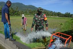 FOTO - Pompanisasi sawah terdampak kekeringan di Aceh Besar