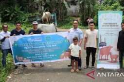 Jelang Idul Adha, PT NSHE sumbang enam ekor hewan kurban