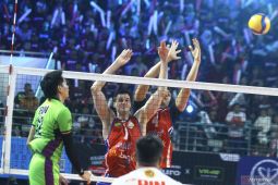 Proliga 2024: Jakarta LavAni gulung STIN BIN 3-0