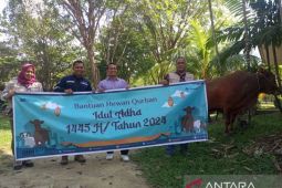 PT Timah serahkan 46 hewan kurban ke warga Bangka Barat