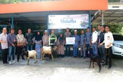 Pelindo Batulicin sumbang hewan kurban bagi warga di pelabuhan