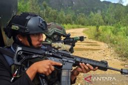 Tiga anggota OPM di Kabupaten Puncak Papua dilumpuhkan TNI
