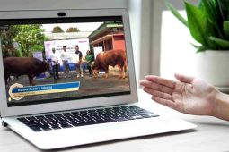 Telkomsel salurkan 103 sapi dan 607 domba kurban pada Idul Adha 1445 H