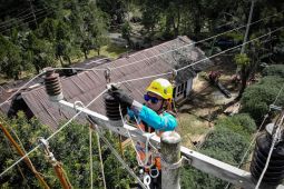 Amankan listrik selama Idul Adha, PLN tetapkan masa siaga tiga hari