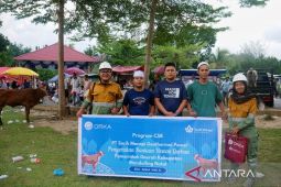 Perusahaan pembangkit  listrik panas bumi sumbang hewan kurban ke warga Madina