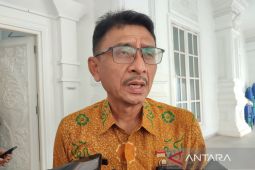 DLH: Ribuan pohon di Bengkulu telah dipangkas
