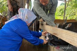 Distan Mukomuko kerahkan puluhan petugas periksa hewan kurban