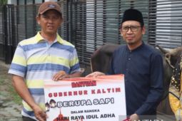 Pj Gubernur Kaltim salurkan 10 sapi kurban  jelang Idul Adha