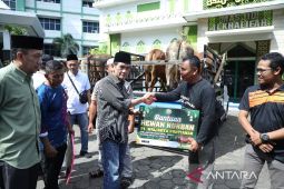 Pemkot Pontianak bagikan 41 ekor sapi kurban kepada masyarakat