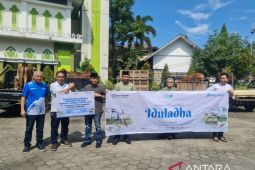 Pelindo Regional 2 Pontianak salurkan 26 ekor sapi kurban
