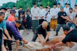 Ada 9.716 hewan kurban disembelih di Kota Medan, begini kata Bobby