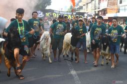 Tradisi pawai hewan kurban