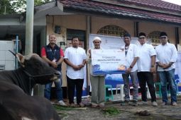 Telkomsel salurkan hewan kurban ke lima lokasi di Papua