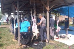 Masjid Kubah Timah potong 12 ekor hewan kurban