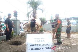 Masjid Perjuangan 45 Medan sembelih  sapi kurban dari Presiden Jokowi