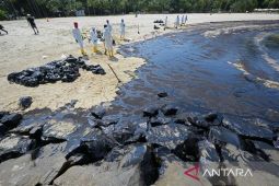 Tumpahan minyak cemari wilayah pesisir Venezuela